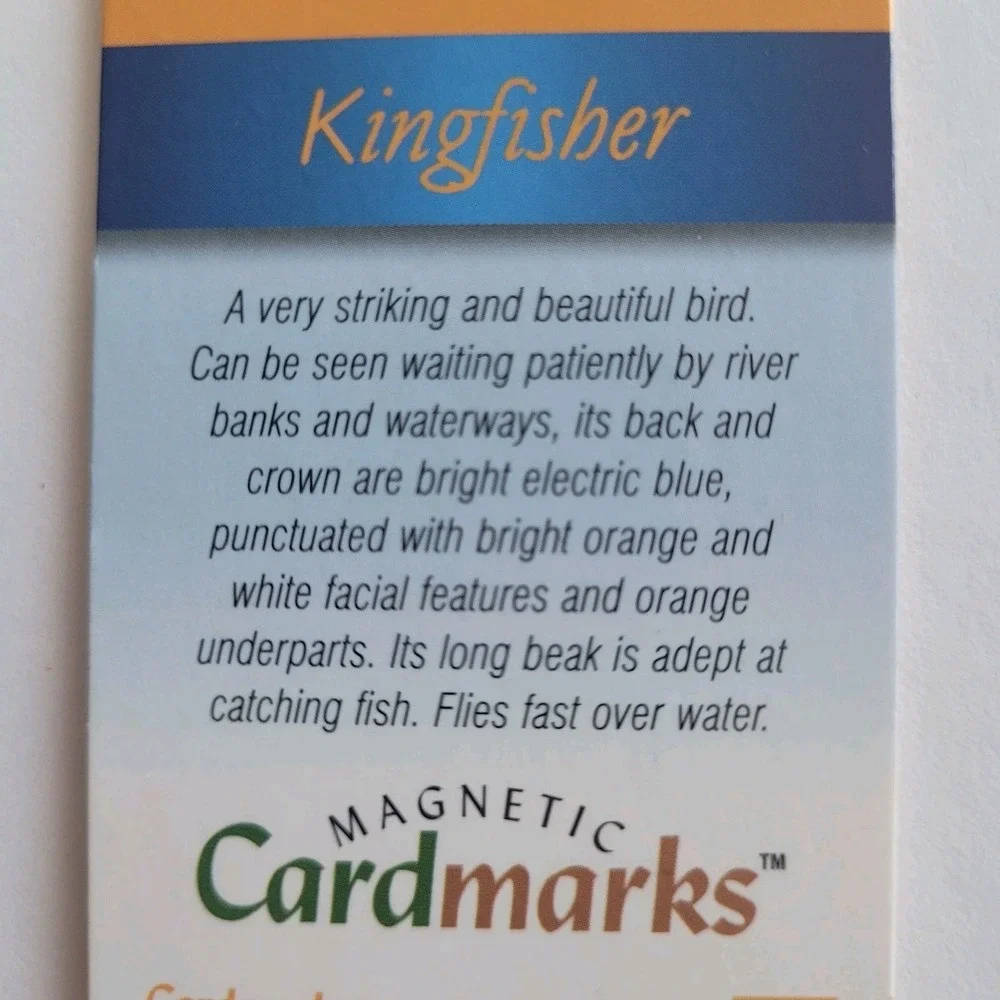 Cardmarks Kingfisher Bird Wild Nature Magnetic Magnet UK Company If 2402 Y2k 00s